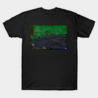 Still Waters T-Shirt